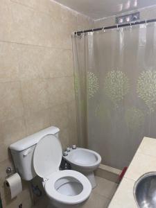 y baño con aseo y ducha. en Tres Marías Alto de Sierra San Juan en Santa Lucía