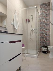 a bathroom with a shower and a toilet at La Caleta de Cadiz WiFi in Cádiz