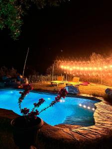 een zwembad 's nachts met een potplant en verlichting bij Belenvillagegarden in Kumluca