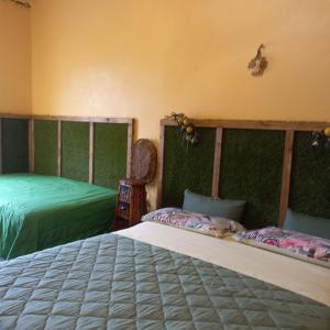 two beds in a room with green walls at B&B Profumo di Bergamotto in Reggio Calabria +17 photos