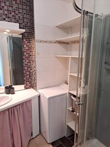 La petite salle de bains est pourvue d'une douche et d'un lave-linge. dans l'établissement Maison au calme, à Camiers 26 autres photos