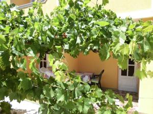 Vonkajšia záhrada v ubytovaní Ferienhaus San Marino