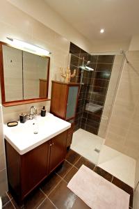 ein Badezimmer mit Waschbecken und Dusche in der Unterkunft Appartement le Clarté in Périgueux