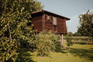 Zahrada ubytování Treehouse Drevesna hiška Štrkovo gnezdo Ranč Jureš