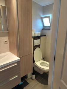 een kleine badkamer met een toilet en een wastafel bij Solstice, quiet cottage in Bruinisse, Zeeland in Bruinisse