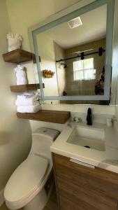 La salle de bains est pourvue de toilettes et d'un lavabo avec miroir. dans l'établissement Seahorse Beach Bungalows, à Fort Pierce