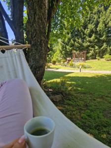 a person holding a cup of coffee next to a tree at Stara Kuźnia Radków in Radków