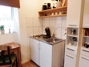 a small kitchen with a sink and a counter at Ferienhaus Pomerania Bootsmann Koje kleine Auszeit bei Rügen in Sundhagen