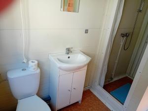 La salle de bains est pourvue de toilettes, d'un lavabo et d'une douche. dans l'établissement Domek 2, à Dębki
