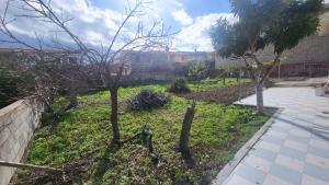 un giardino con due alberi in un cortile di Villa Isola Bella - Appartamento Bianconero a Mògoro