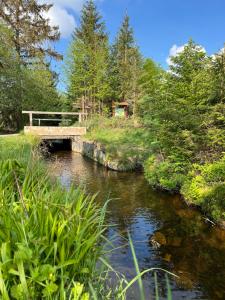 a wooden bridge over a river with a bridge istg at Ferienwohnung Lia in Altenau