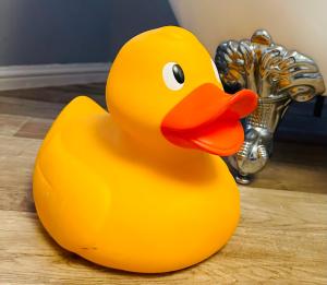 a yellow rubber duck sitting on a wooden floor at Bettys in Hunstanton