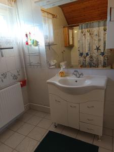 a bathroom with a sink and a shower at Karolina Apartment in Békéscsaba