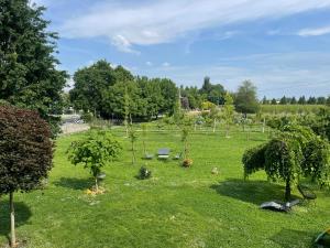 a park with trees and a bench in the grass at Gocce balsamiche in Ravarino