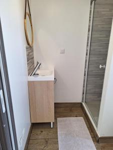 a bathroom with a sink and a mirror and a shower at logement calme, 5 minutes de l'autoroute in Vieux-Manoir