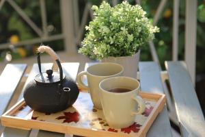 a tray with two cups of coffee and a pot of flowers at Alimos House in Athens +39 photos