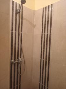 烏季達的住宿－Apart salma，浴室里设有黑白条纹淋浴