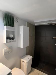 a bathroom with a white toilet and a shower at Verebes Cottage with garden in Tuşnad +14 photos