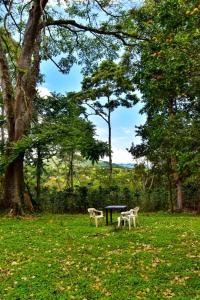 a picnic table and two chairs in a park at Finca La Rivera in San Agustín
