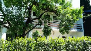 Zahrada ubytování Felix Apartment Biograd
