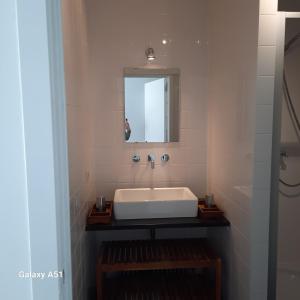 un bagno con lavandino e specchio di Green Garden a De Haan