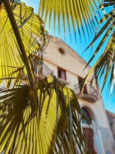 een gele palmboom voor een gebouw bij Villa Tiche in Cefalù