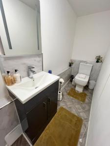uma casa de banho com um lavatório e um WC em Cosy Sea front LUXURY Studio Apartment Flat Brighton & Hove em Brighton & Hove