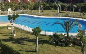 a large swimming pool with palm trees in a yard at APARTAMENTO NATURISTA in Playas de Vera