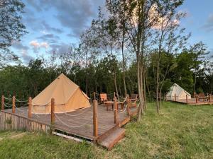 a tent in a field with a wooden deck at Deleni Retreat - Glamping in Buzău