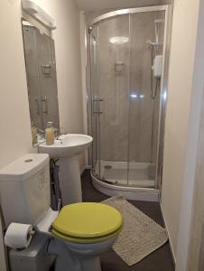 スランディドノにあるOverton Villa Hotelのバスルーム(緑のトイレ、シャワー付)