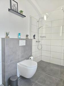 基彭海姆Design I Gewölbe I sanierter Pferdestall I EuropaPark I Boxspring I Nespresso I Terrasse I Parkplatz的配有白色马桶和淋浴的浴室 更多17张照片