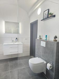 基彭海姆Design I Gewölbe I sanierter Pferdestall I EuropaPark I Boxspring I Nespresso I Terrasse I Parkplatz的带马桶和水槽的浴室