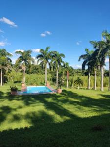 un patio con piscina y palmeras en Holambra e a natureza rural en Holambra