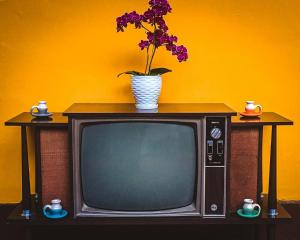 a tv with a plant on top of it at Hotel Boutique Villa Mercedes in Sopó