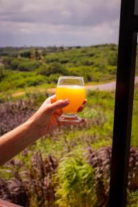 a person holding up a glass of orange juice at Loft vista da serra in Serra de São Bento