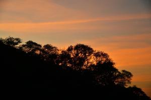 une silhouette d'un arbre au coucher du soleil dans l'établissement NiNo San Glamping - Pak Chong, à Pak Chong