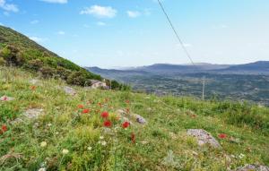 a field of poppies on a hill with a view at Gorgeous Home In Serrone With Wifi in Serrone +13 photos