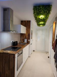 a kitchen with white cabinets and a green ceiling at Appartement neuf design - Résidence avec piscine in Cul de Sac +11 photos