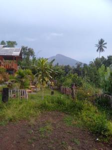 uma vista para um jardim com uma casa e palmeiras em Rain homestay em Selong