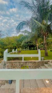 una panchina bianca seduta accanto a una palma di The Hawk's Nest Resort a Sabang