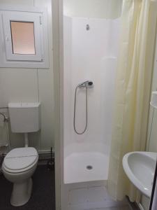 a bathroom with a shower and a toilet and a sink at Monica și Tibo in Sfântu Gheorghe