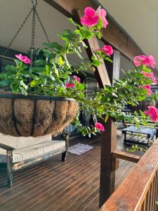 Zahrada ubytování Rangiriri Vacay Unit 1