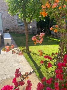 A garden outside Corte Boero Bed&Breakfast