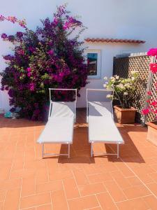 dwa białe krzesła siedzące na patio z kwiatami w obiekcie Case dei limoni sul mare w mieście Capoliveri