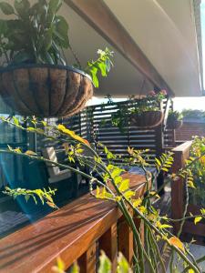 Fotografie z fotogalerie ubytování Rangiriri Vacay Unit 1 v destinaci Amuri