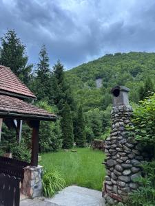 a stone fireplace in a yard with a mountain at Cottage by the river Valea Draganului in Poeni
