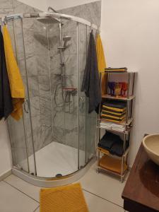 a shower with a glass door in a bathroom at Ferienwohnung Waldblick mit Balkon nahe Therme Loipersdorf in Windisch Minihof