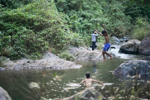 Gallery image of BLUE CREEK Pool property in Meppādi