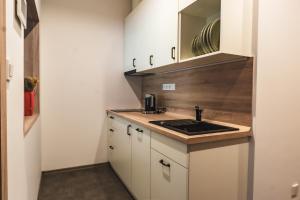 a small kitchen with a sink and a mirror at Luxusní apartmán Domovjanka - MEDVĚDÍN in Bílá