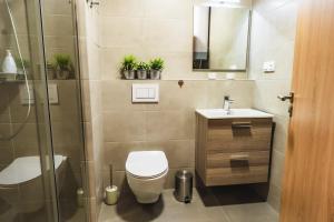 a bathroom with a shower and a toilet and a sink at Luxusní apartmán Domovjanka - MEDVĚDÍN in Bílá